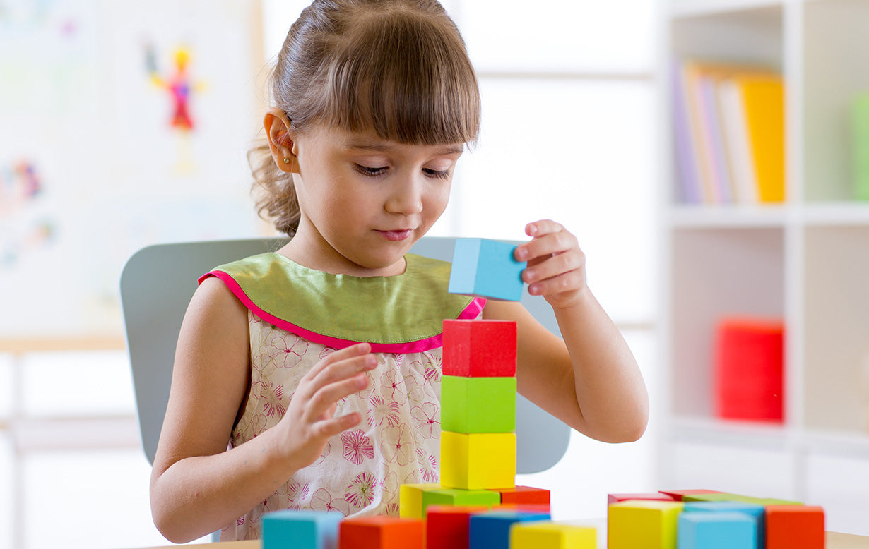 Multi color bricks for kids
